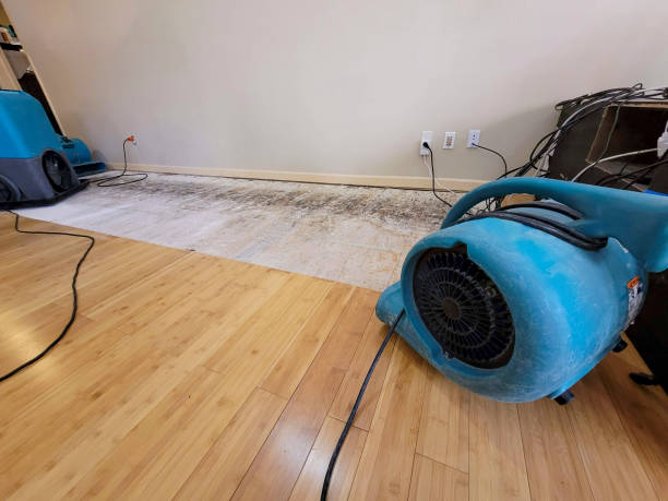 Professional Structural Drying technician working in New Tazewell, TN